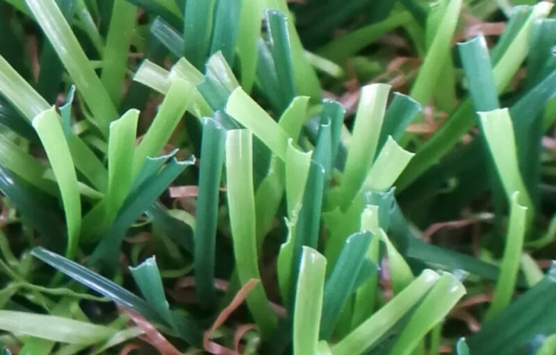 premium four tones synthetic green grass