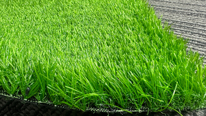 Unti-UV warranty landscape grass.jpg