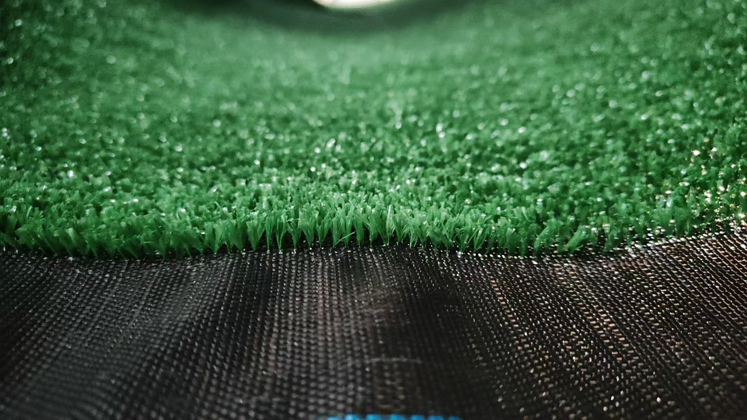 fence grass