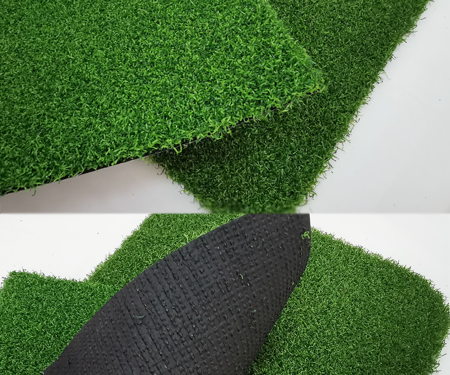 golf turf grass