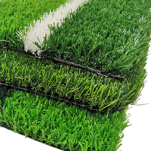 Soccer grass