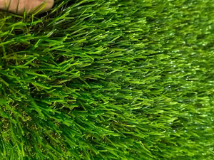 20 مم 25 مم 30 مم أفضل عشب صناعي حول حمام السباحة.jpg