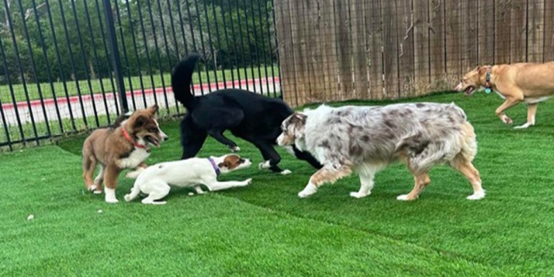 synthetic turf synthetic turf