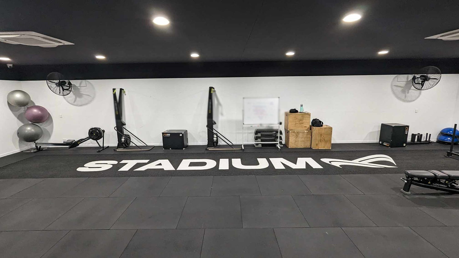 Gym floors turf