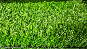 landscape grass for residential building.jpg