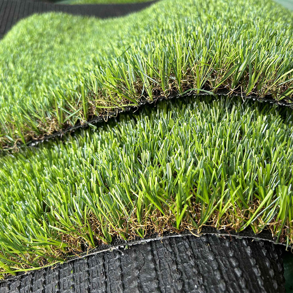 Garden grass