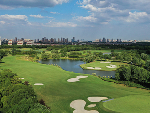 high quality artificial putting green turf.jpg