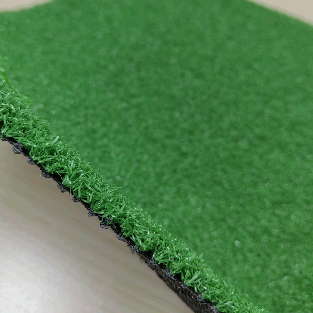Putting green grass