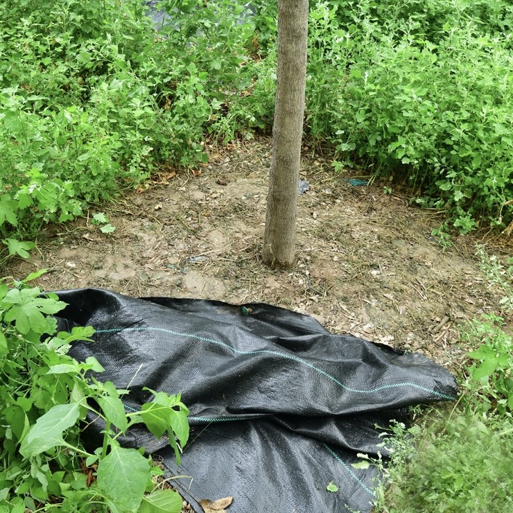 Gardening Ground Weed-proof Cloth (11)