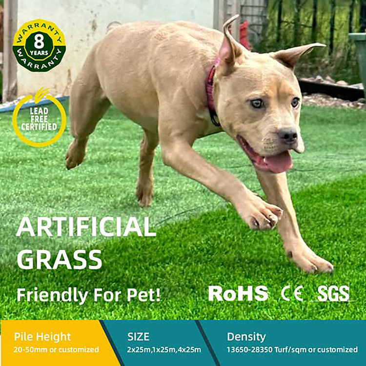 pet friendly for dogs