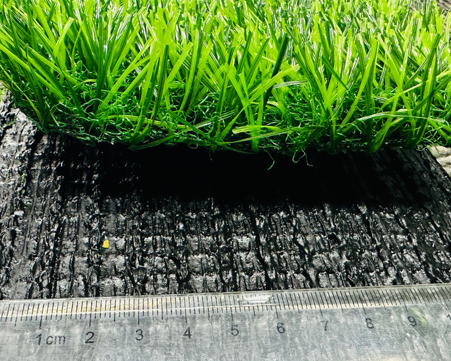 Landscape Grass