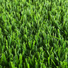 Pet Friendly Artificial Grass Landscaping for Dogs