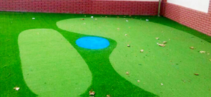 backyard golf artificial putting green.jpg