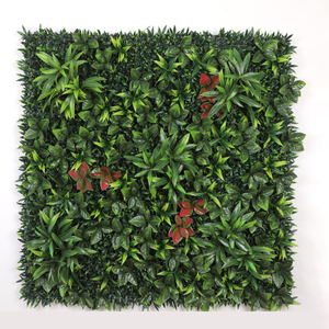 XiHY-20-50X50.jpg