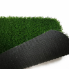soccer grass