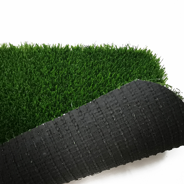 soccer grass