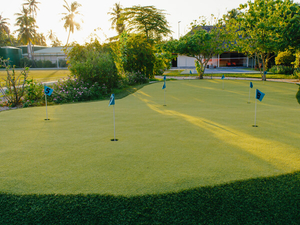 best outdoor artificial putting greens.jpg