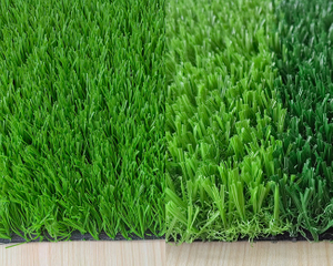 soccer grass.jpg