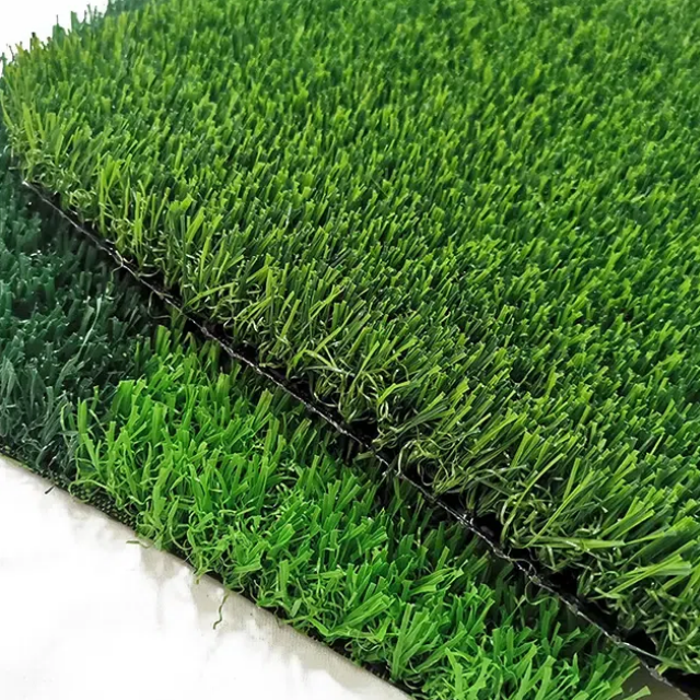 What Makes Professional Football Grass Stand Out?