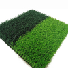 sport grass