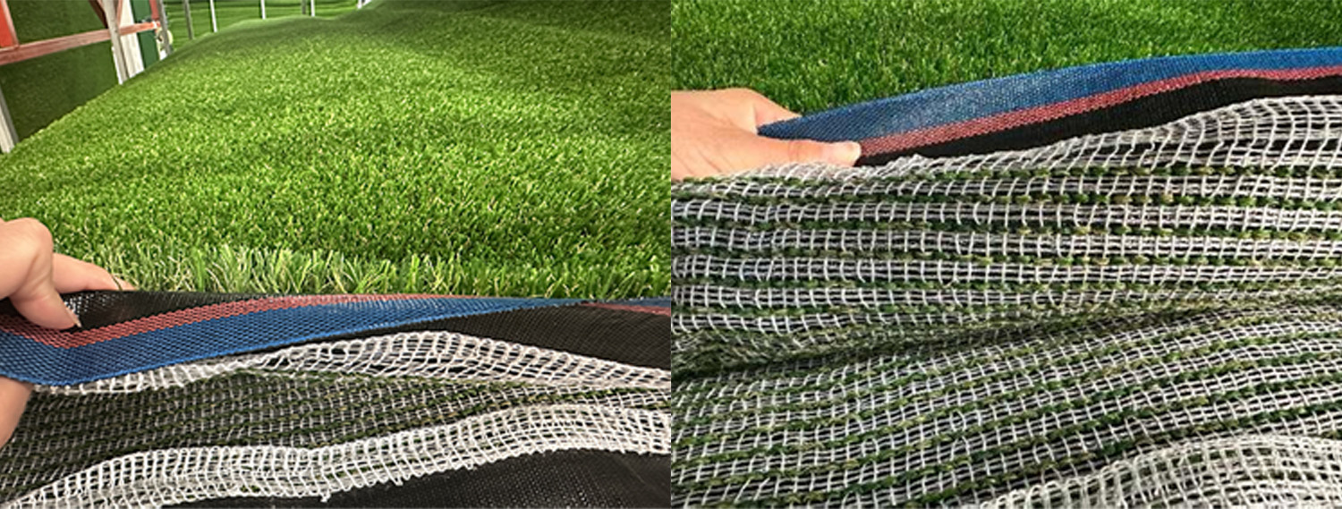 grass