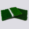  football grass