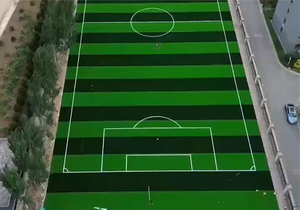 50mmsynthetic turf soccer field.jpg