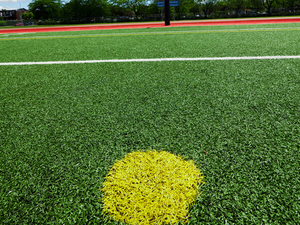 China multi sport grass supplier.jpg