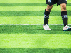 tarutaru pai mo te papa whutupaoro.jpg