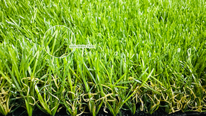 New Developed Anti-Static Synthetic Turf .jpg