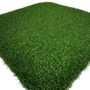 home indoor putting green