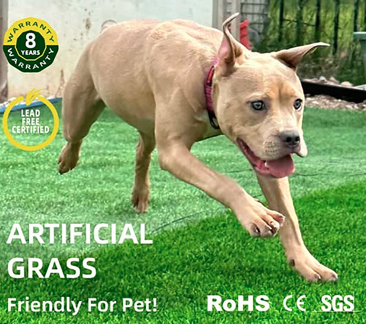 Pet Friendly Synthetic Turf 