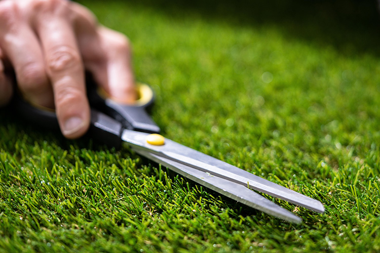 10 Essential Artificial Grass Maintenance Tips to Keep Your Lawn Looking New