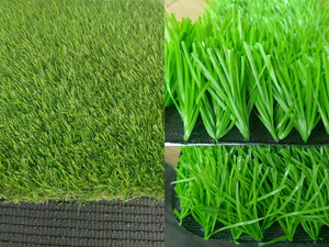 grass.jpg