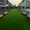 Outdoor Garden Three Colors Synthetic Turf Grass Lawn Cost Price