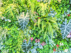 decoration grass wall.jpg