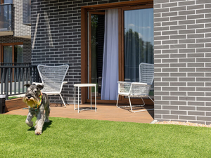 artificial grass for dogs.jpg