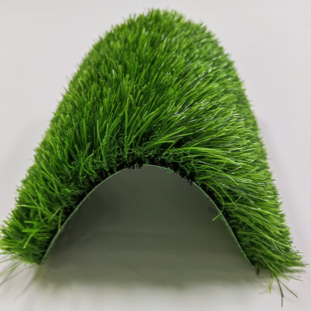 Home yard with artificial grass