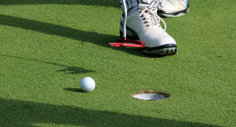 កីឡាវាយកូនហ្គោល turf.jpg