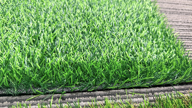 landscape grass for backyard.jpg
